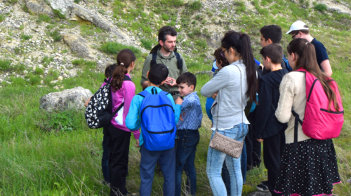 activitati educationale