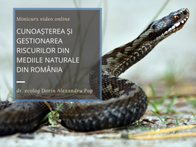 Pericole în natură: Cunoașterea și gestionarea riscurilor din mediile naturale din România